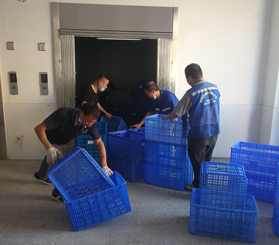 廣州搬家護(hù)送寵物安全到家